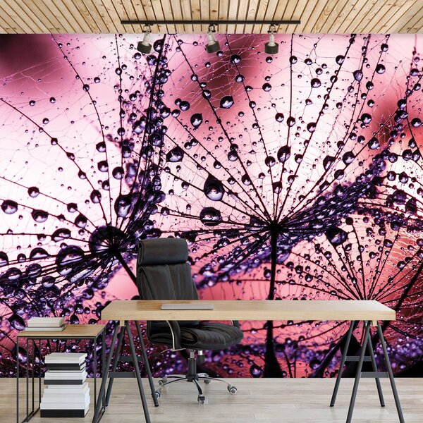 Fototapet - Păpădii - abstracte - violete (152,5x104 cm)