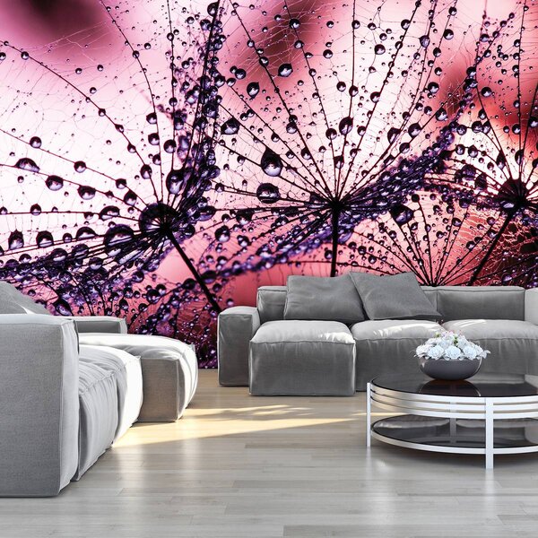 Fototapet - Păpădii - abstracte - violete (152,5x104 cm)