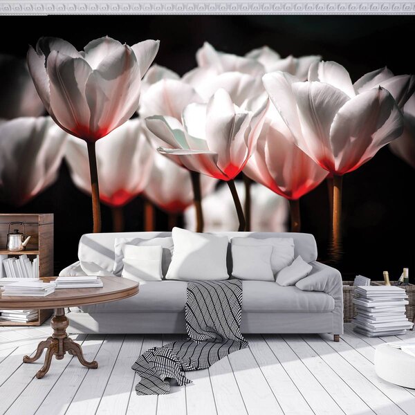 Fototapet - Flori - tonul roșu (152,5x104 cm)