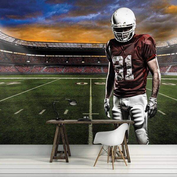 Fototapet - Stadionul american de fotbal (152,5x104 cm)