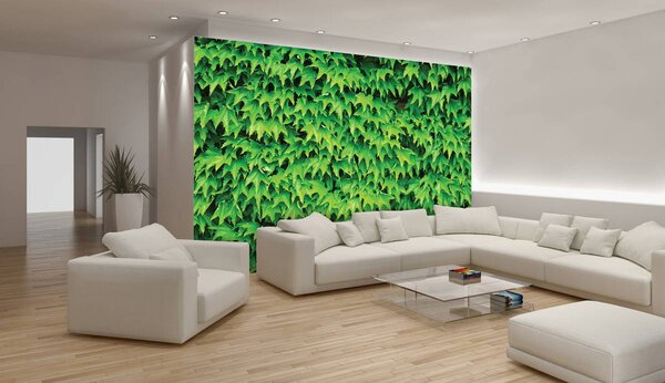 Fototapet - Frunze (152,5x104 cm)