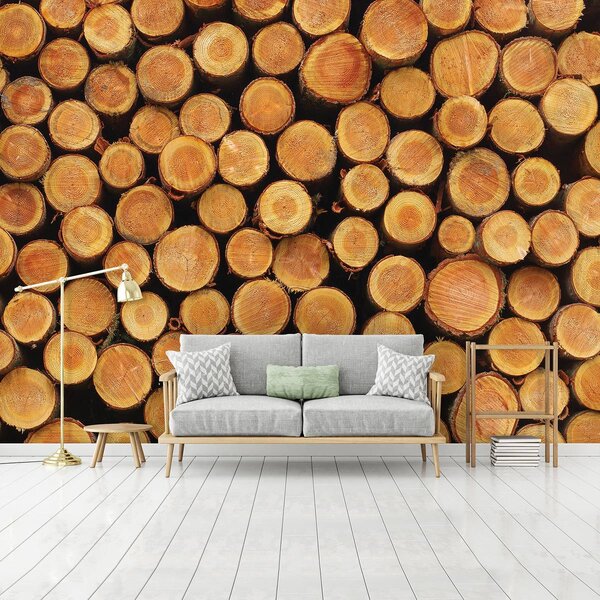 Fototapet - Lemn (152,5x104 cm)