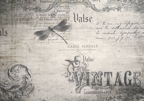 Fototapet - Vintage (254x184 cm)