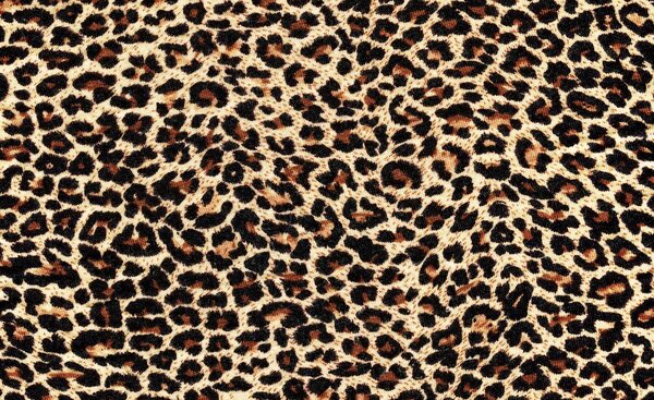 Fototapet - Fibre de păr de leopard (152,5x104 cm)