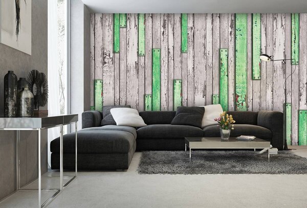 Fototapet - Scândură gri și verde ruptă (152,5x104 cm)