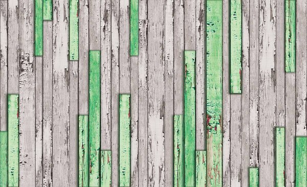 Fototapet - Scândură gri și verde ruptă (152,5x104 cm)