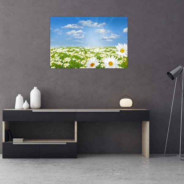 Tablou cu luncă înflorită cu margarete (90x60 cm)