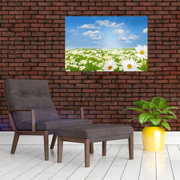 Tablou cu luncă înflorită cu margarete (90x60 cm)