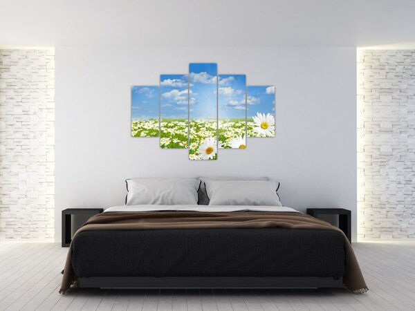 Tablou cu luncă înflorită cu margarete (150x105 cm)