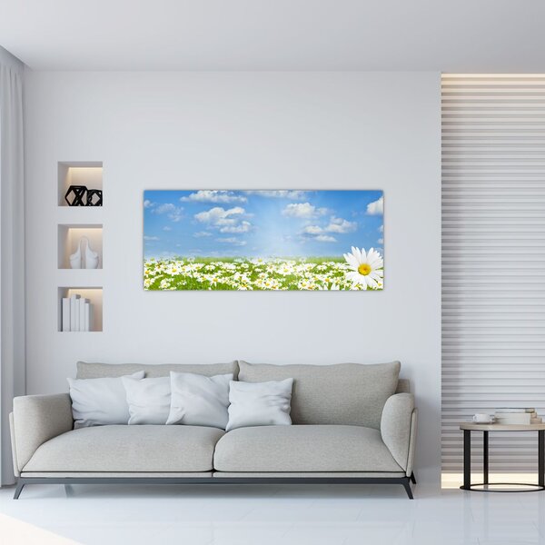 Tablou cu luncă înflorită cu margarete (120x50 cm)