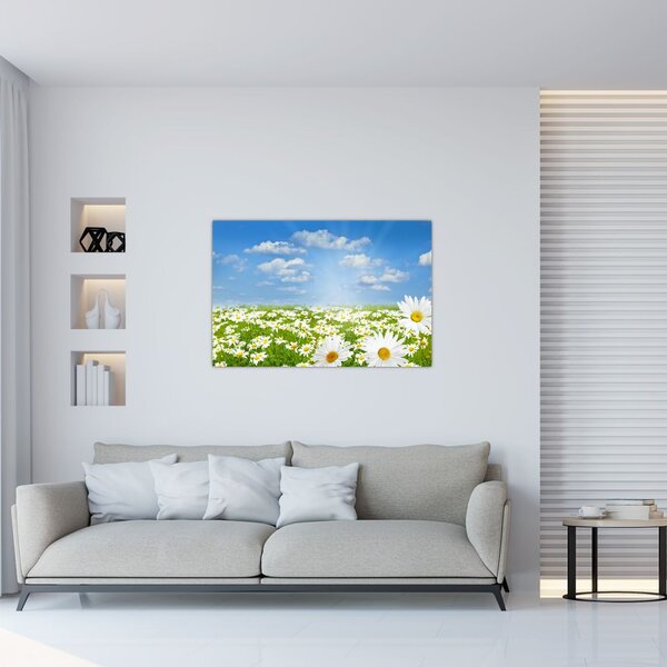 Tablou cu luncă înflorită cu margarete (90x60 cm)