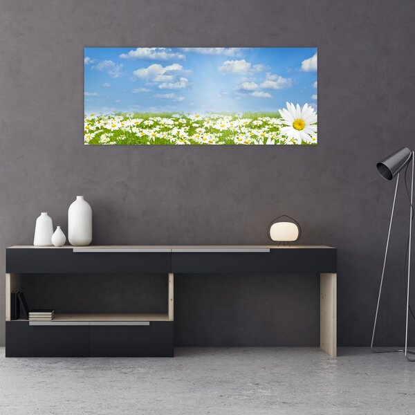 Tablou cu luncă înflorită cu margarete (120x50 cm)