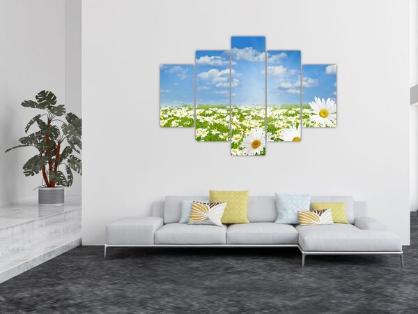 Tablou cu luncă înflorită cu margarete (150x105 cm)