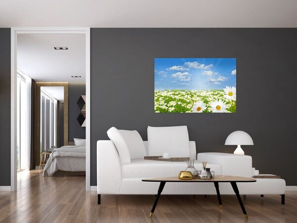 Tablou cu luncă înflorită cu margarete (90x60 cm)