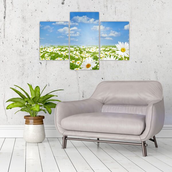 Tablou cu luncă înflorită cu margarete (90x60 cm)