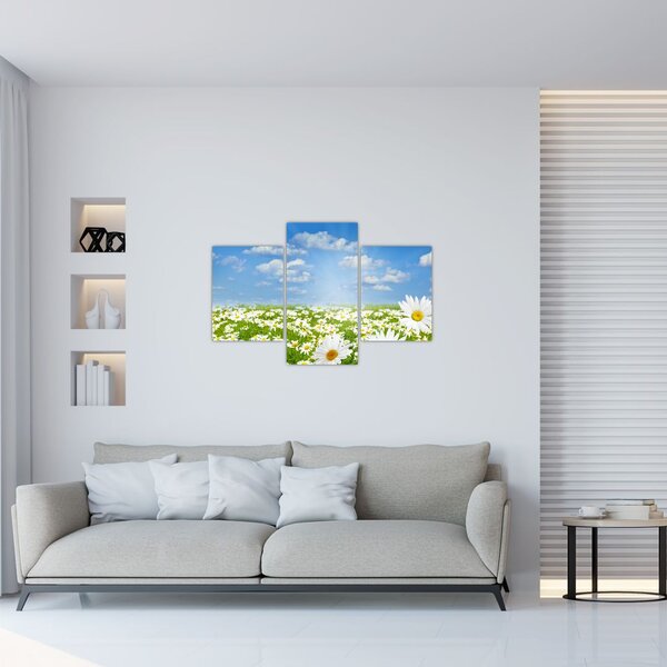 Tablou cu luncă înflorită cu margarete (90x60 cm)