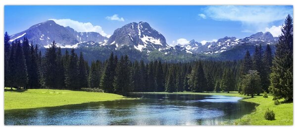 Tablou - vâfurile montane înzăpezite (120x50 cm)