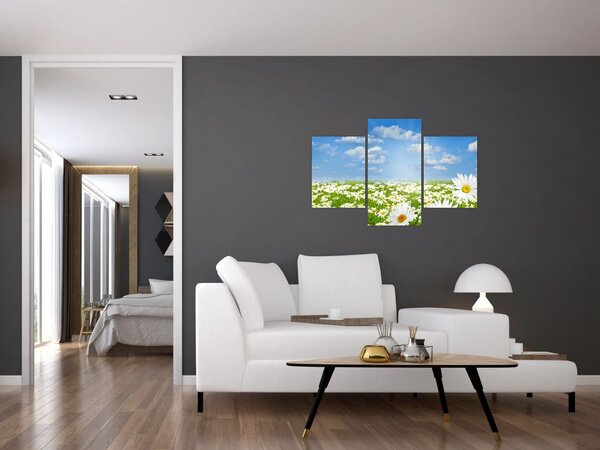 Tablou cu luncă înflorită cu margarete (90x60 cm)