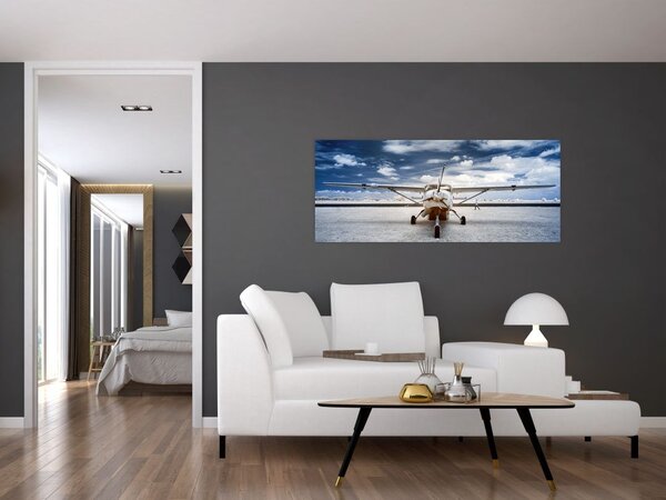 Tablou cu aeroplan cu motor (120x50 cm)