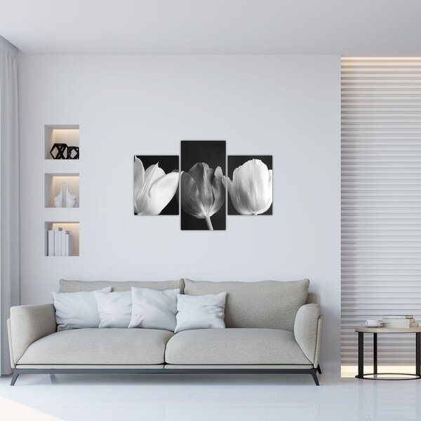 Tablou - Lalele alb negre (90x60 cm)