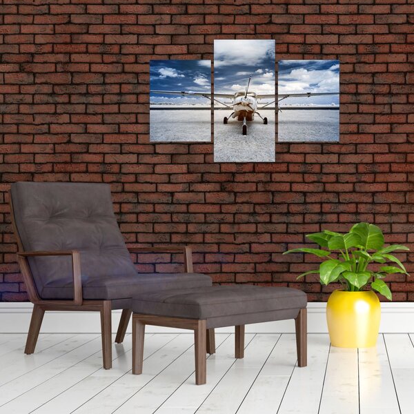 Tablou cu aeroplan cu motor (90x60 cm)