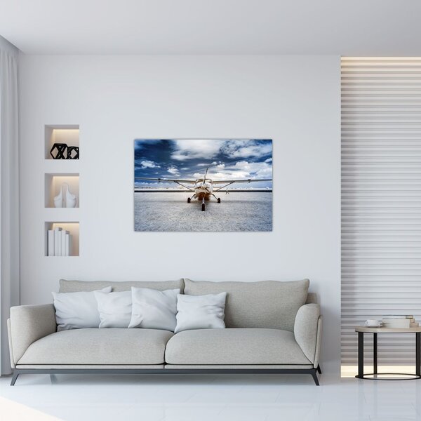 Tablou cu aeroplan cu motor (90x60 cm)