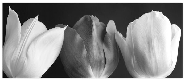 Tablou - Lalele alb negre (120x50 cm)