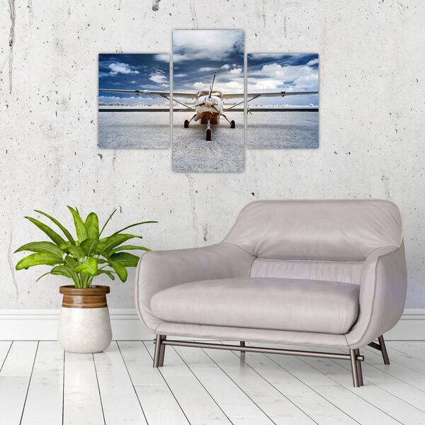 Tablou cu aeroplan cu motor (90x60 cm)