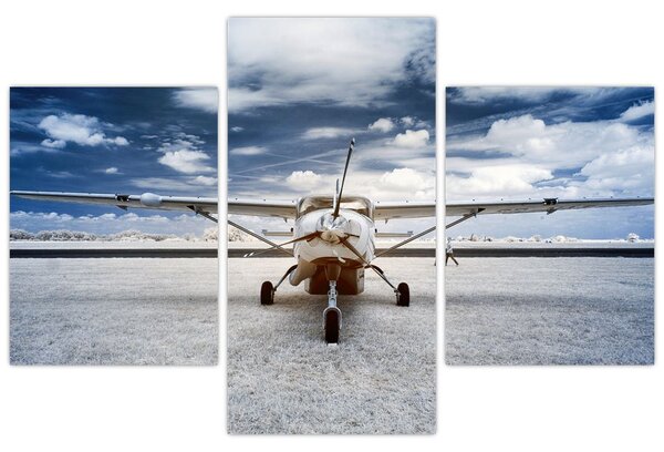 Tablou cu aeroplan cu motor (90x60 cm)
