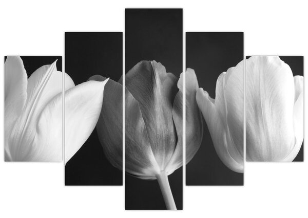Tablou - Lalele alb negre (150x105 cm)