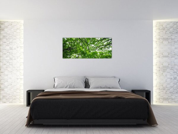 Tablou - privire în coroanele pomilor (120x50 cm)