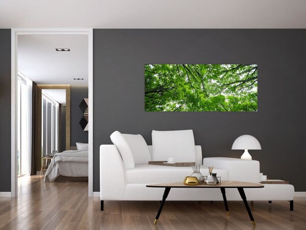 Tablou - privire în coroanele pomilor (120x50 cm)