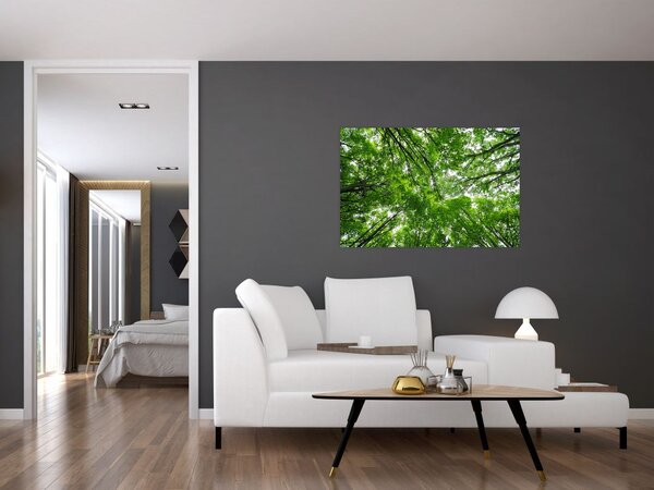 Tablou - privire în coroanele pomilor (90x60 cm)