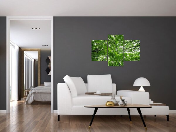 Tablou - privire în coroanele pomilor (90x60 cm)