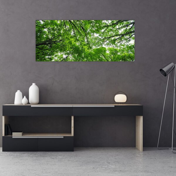 Tablou - privire în coroanele pomilor (120x50 cm)