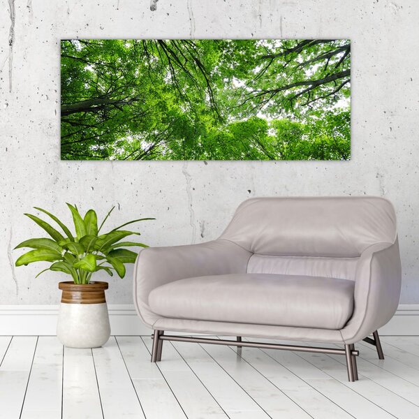 Tablou - privire în coroanele pomilor (120x50 cm)