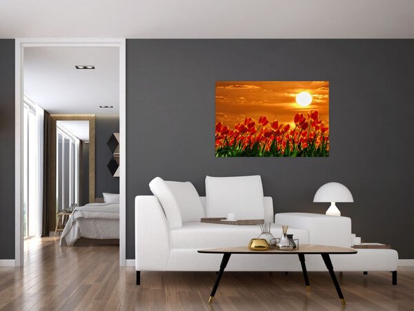Tablou - lan înflorit de lalele (90x60 cm)