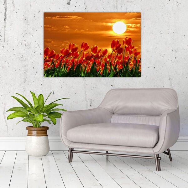 Tablou - lan înflorit de lalele (90x60 cm)