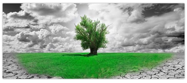 Tablou - O bucată de natură în oraș (120x50 cm)