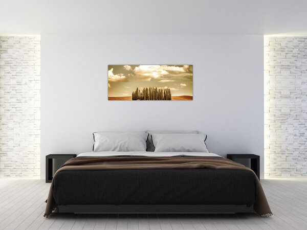 Tablou cu luncă (120x50 cm)