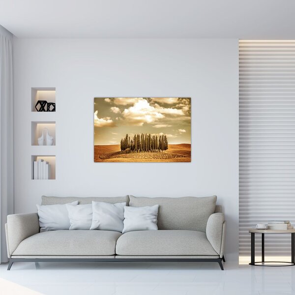 Tablou cu luncă (90x60 cm)