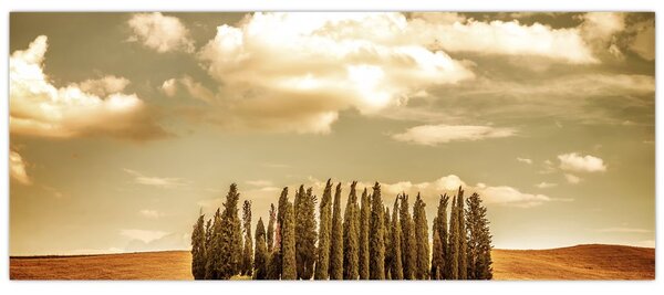 Tablou cu luncă (120x50 cm)