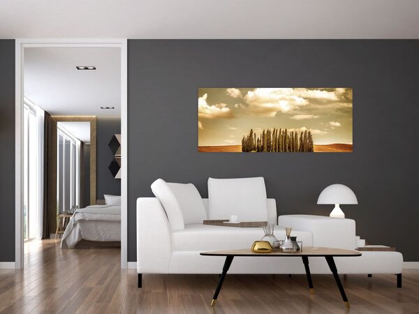 Tablou cu luncă (120x50 cm)