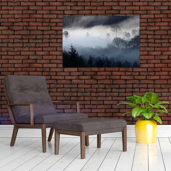 Tablou cu ceță deasupra pădurii (90x60 cm)