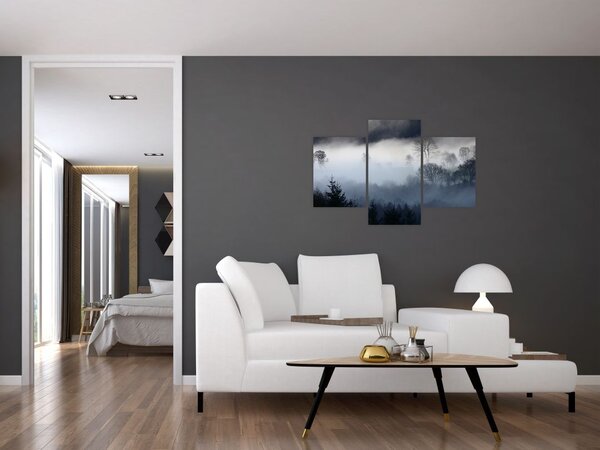 Tablou cu ceță deasupra pădurii (90x60 cm)