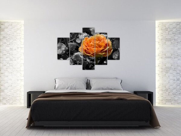 Tablou cu floare (150x105 cm)