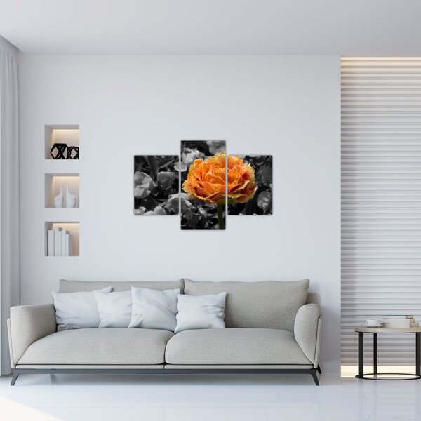 Tablou cu floare (90x60 cm)