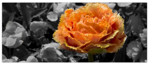 Tablou cu floare (120x50 cm)