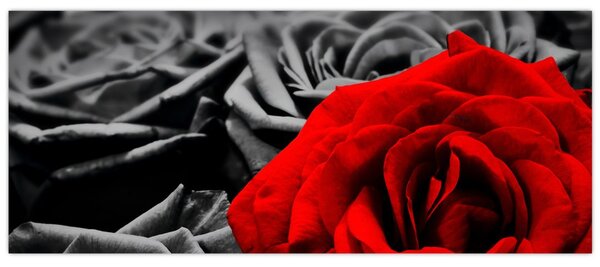 Tablou - Flori de trandafir (120x50 cm)