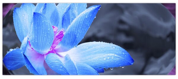 Tablou florilor în detailu (120x50 cm)
